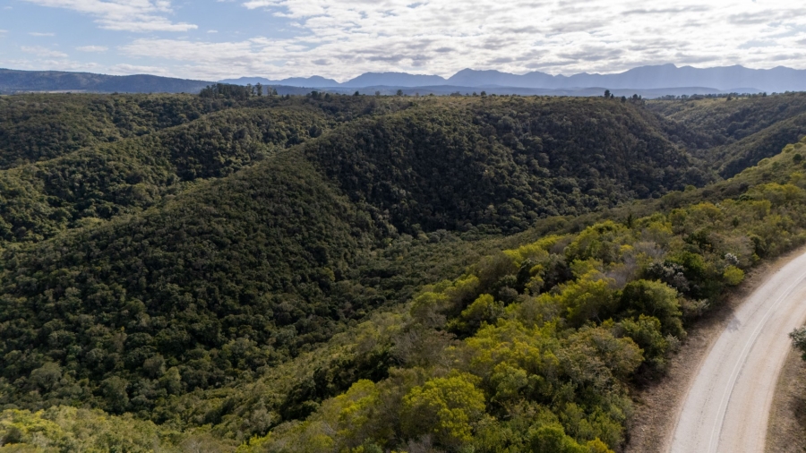  Bedroom Property for Sale in Plettenberg Bay Rural Western Cape